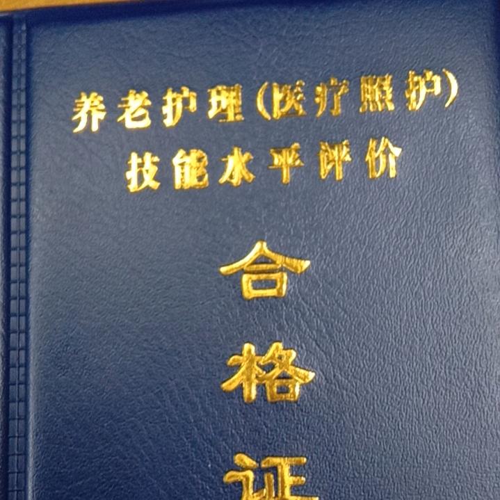 🌻南飞的雁🌻