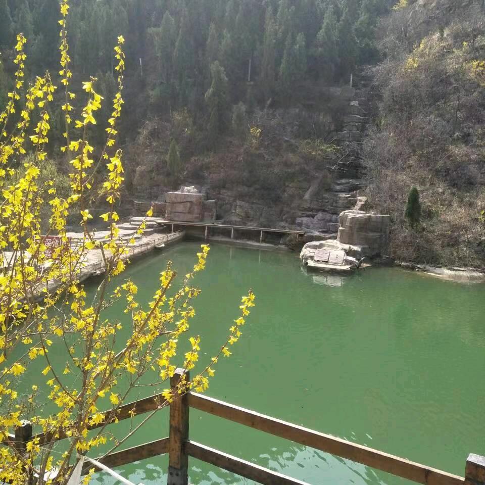 雨中散步