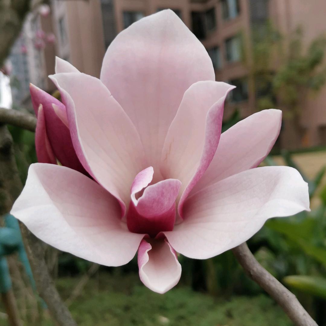 与我无关