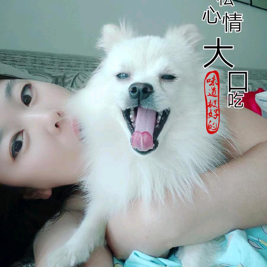 柳夏（禁止连赞）