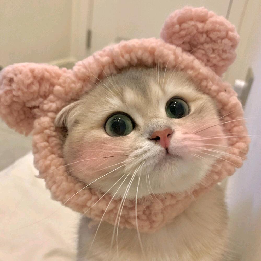 🌺🌴厚德载物知足快乐💐🌺