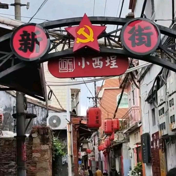怏怏乐乐每一天