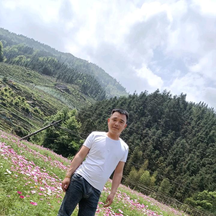 心向阳无所伤