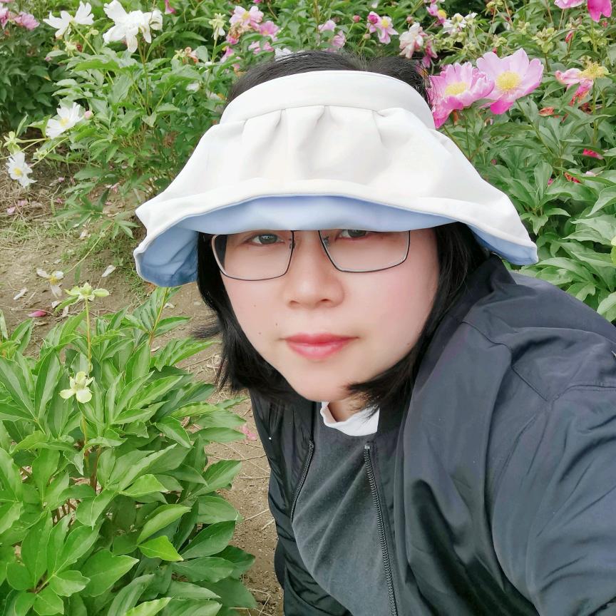 我是四姐