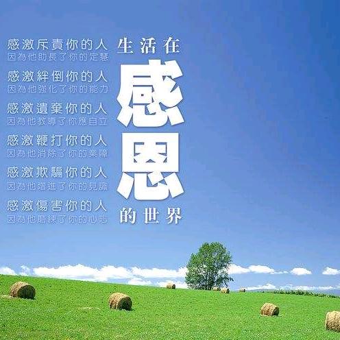 一条向上的小鱼