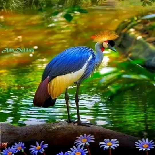 a,辣椒姐：六种口味的鸡叉骨，