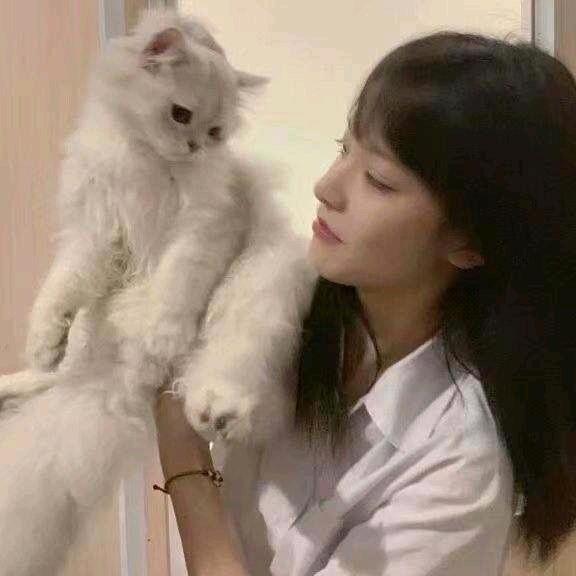 逸怀