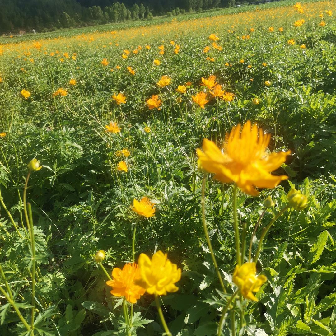 借个肩膀靠一下