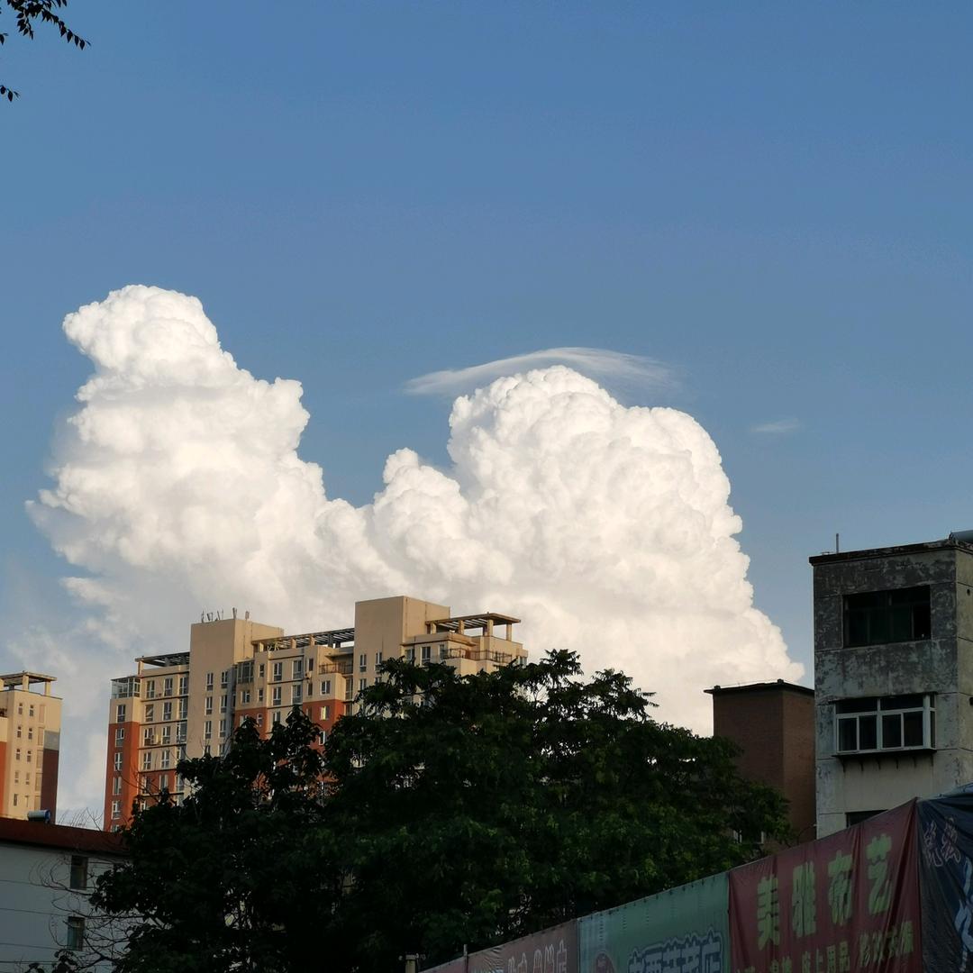 神奇的大自然V