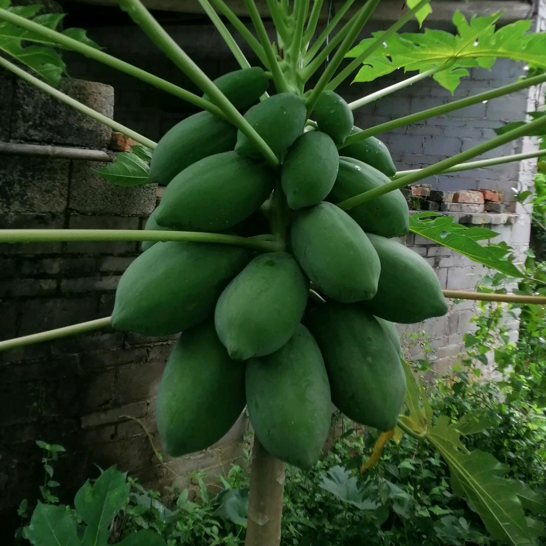 钟新辉