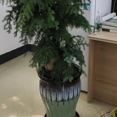 人要懂得感恩