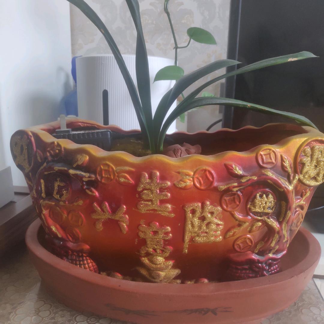 李俊梅