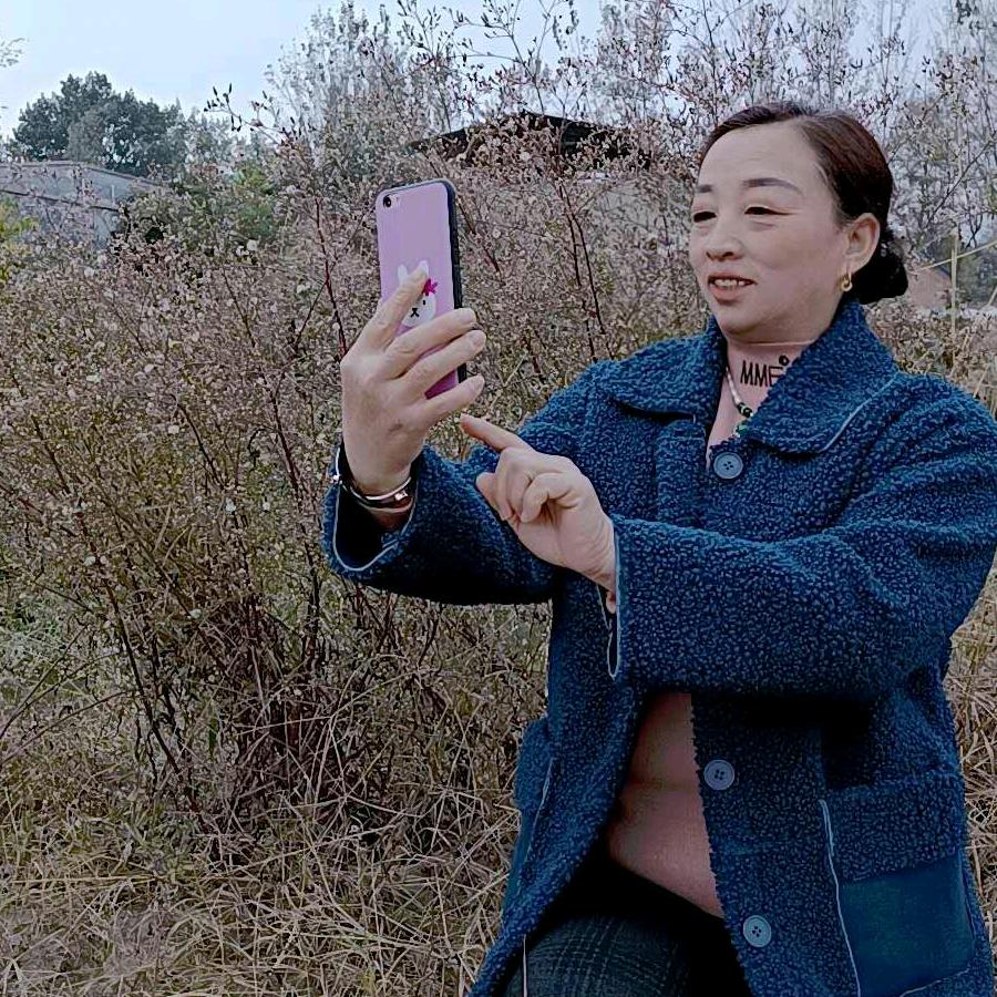 开心果