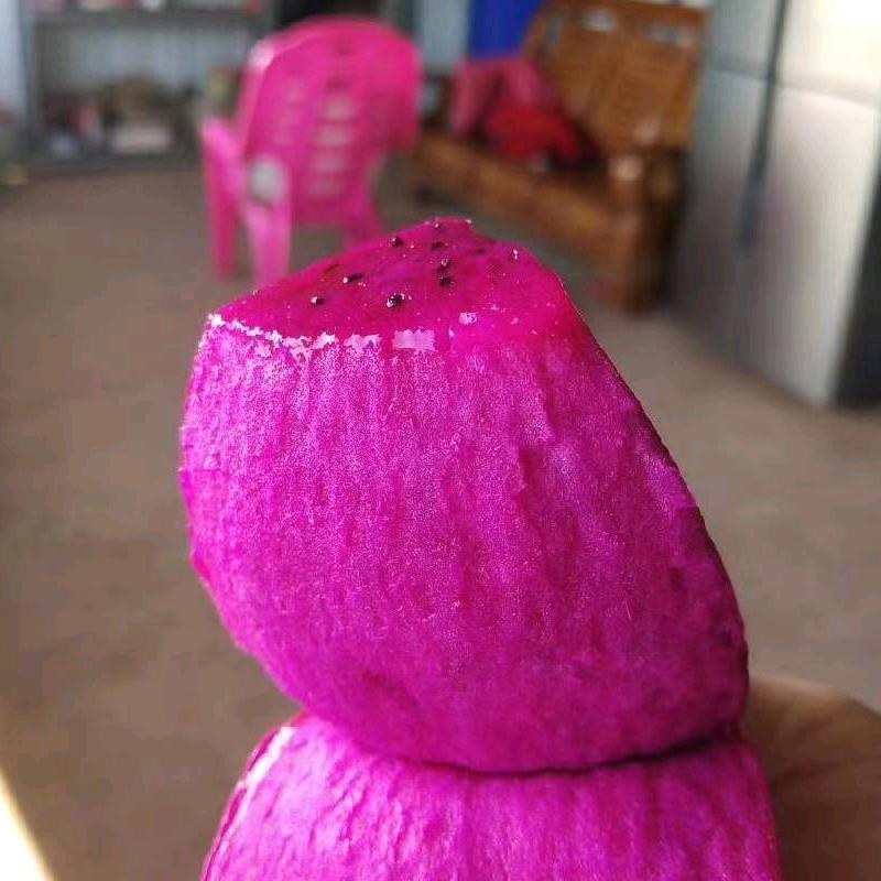 潘姐《好物在橱窗》