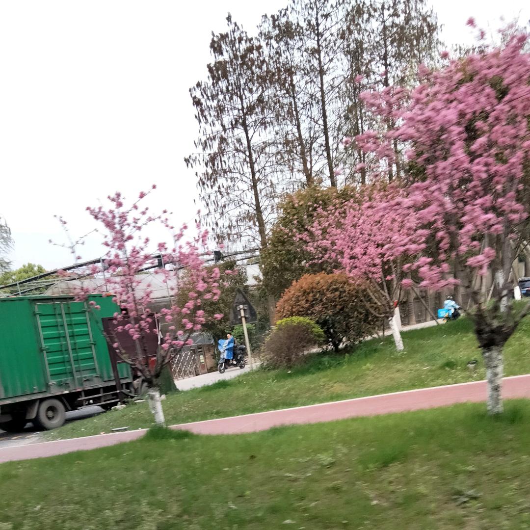 我是昭通盐津豆沙关刘三妹