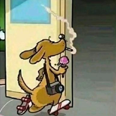 偶像动画家