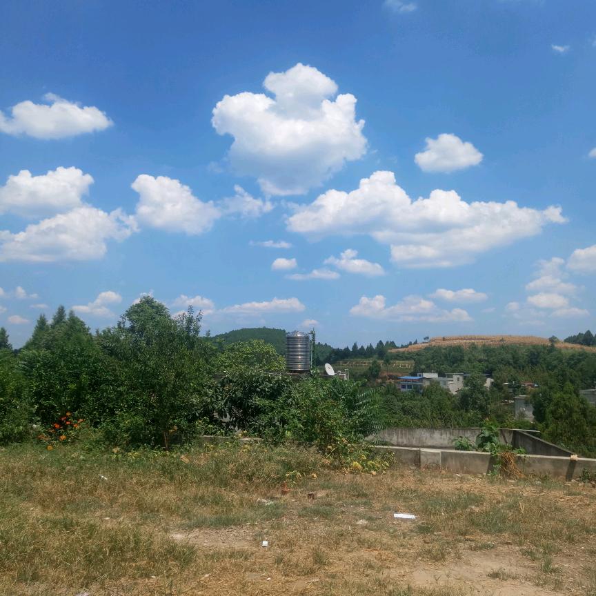 天天有份好心情