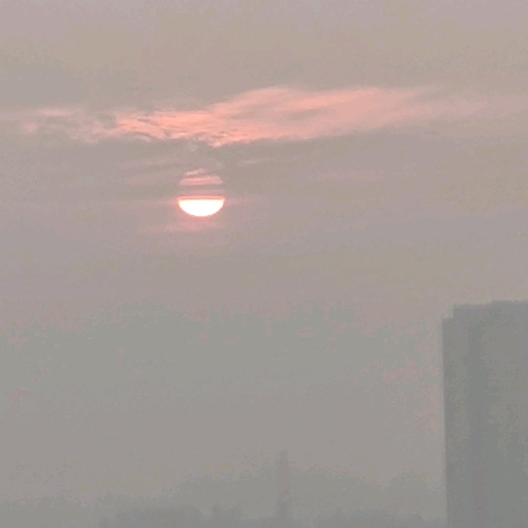 锄禾.