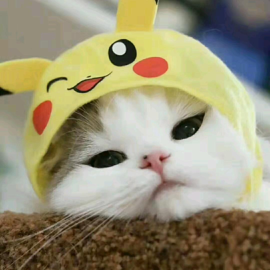 懒得理你