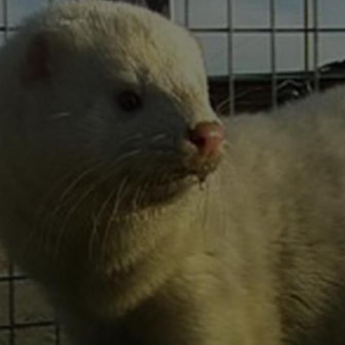 只欠你一句!我爱你