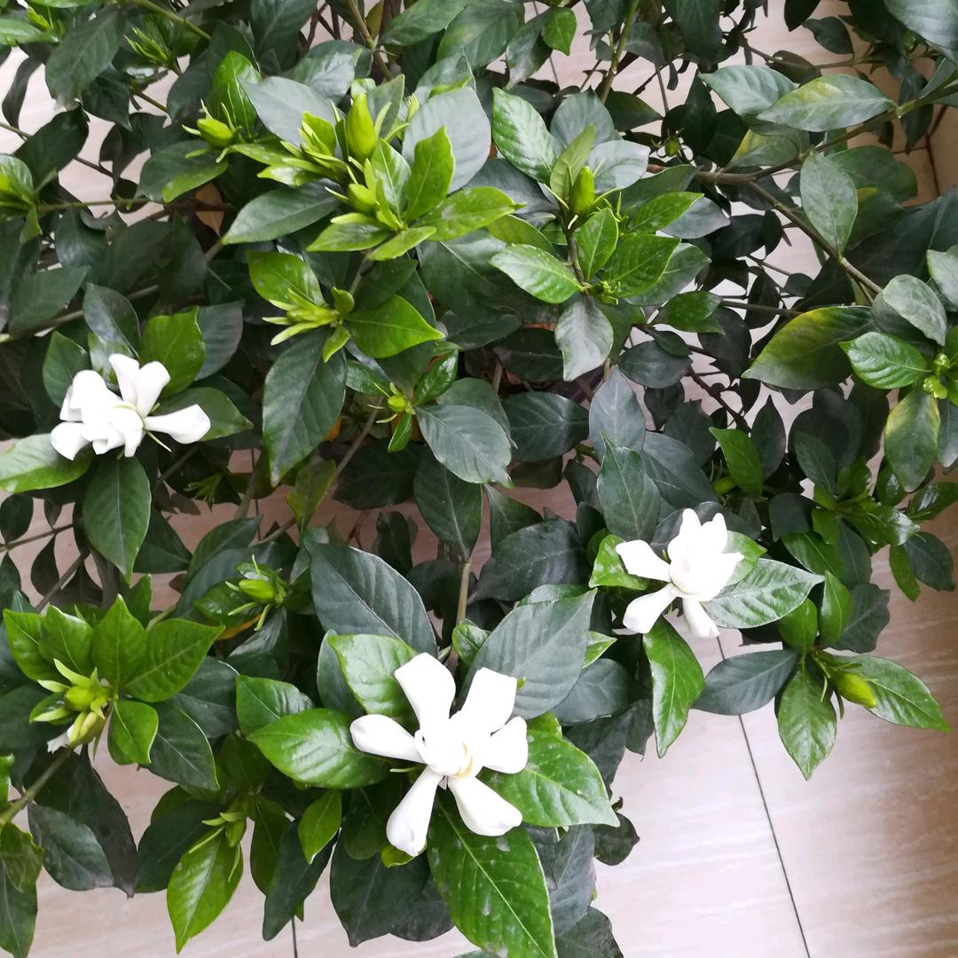 刻骨铭心