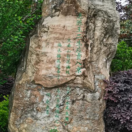 陌寻