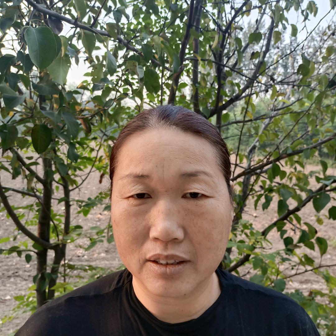 烧饼姐