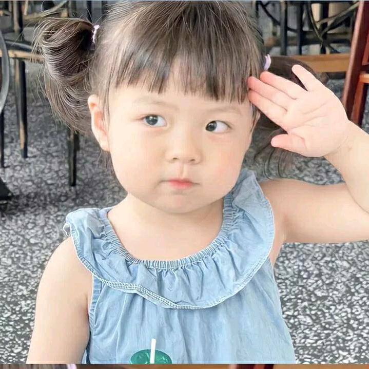 桂