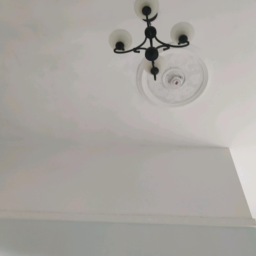 陈同志|