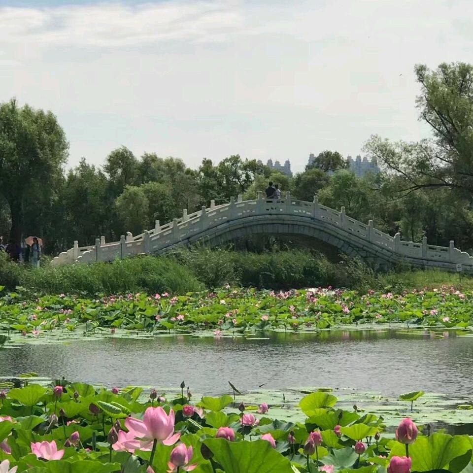 蓝色海啸2头像