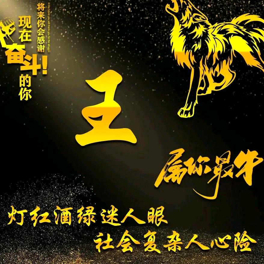 王者归来666