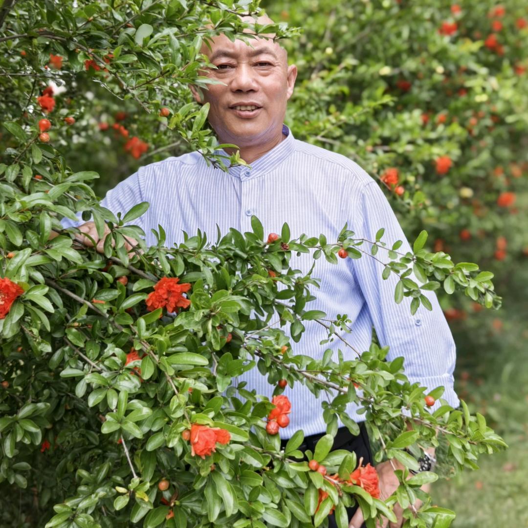 东方旭日
