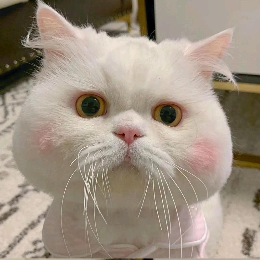 大大