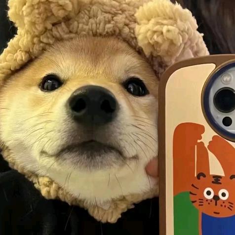 l十丨