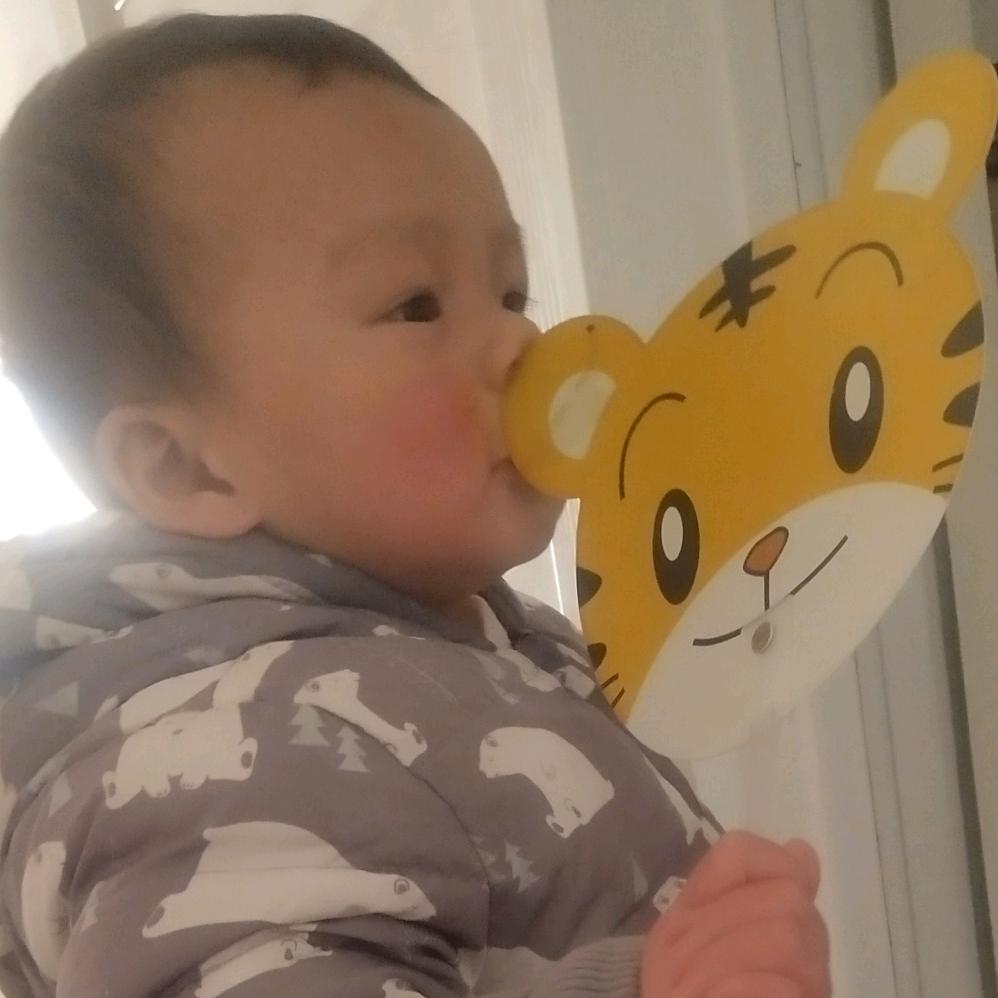 小猪猪哇