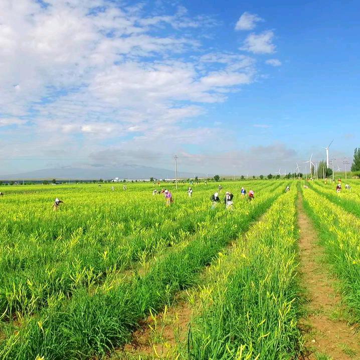 98年村干部小王