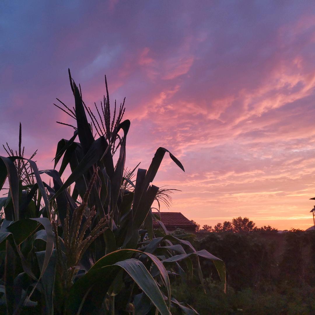 🆑风陵渡世无双