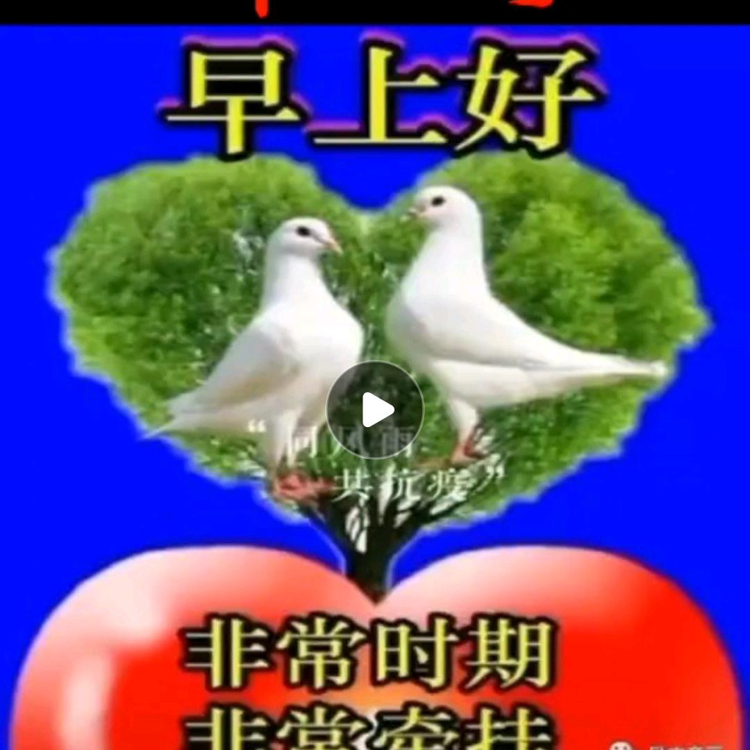 用户6813698077120