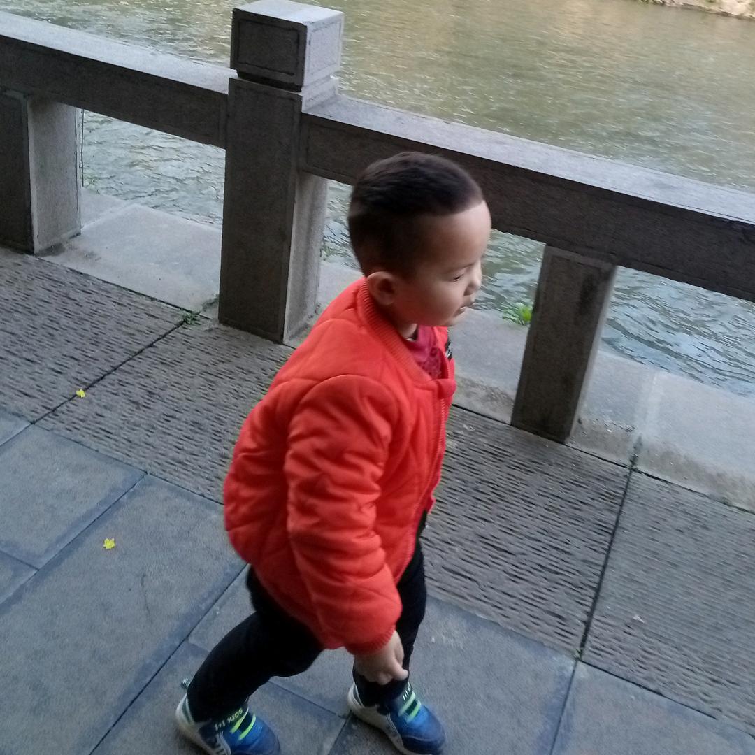 骏马乐乐