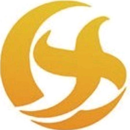 讯传网