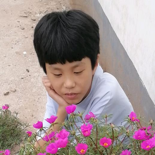 用户3419652293545王世华河南