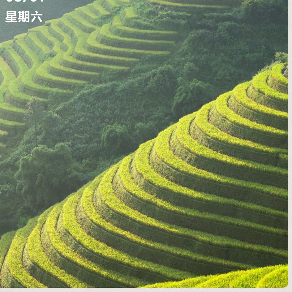 开心果🌹🌹🌹