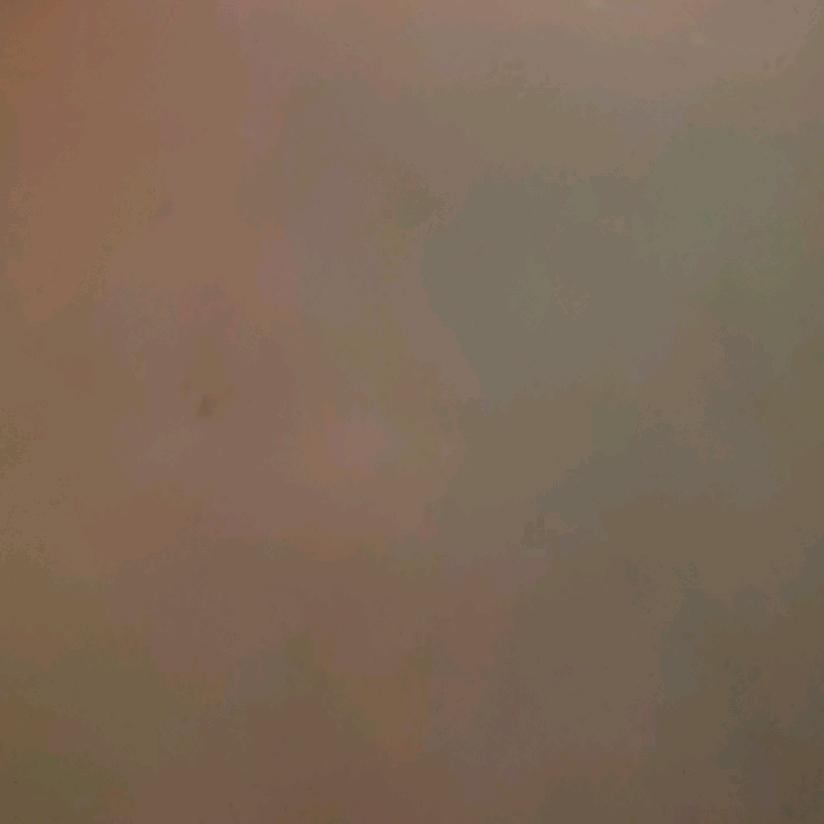 西北虎候