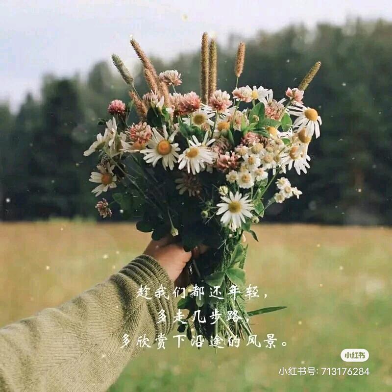 爱手工的闲鱼