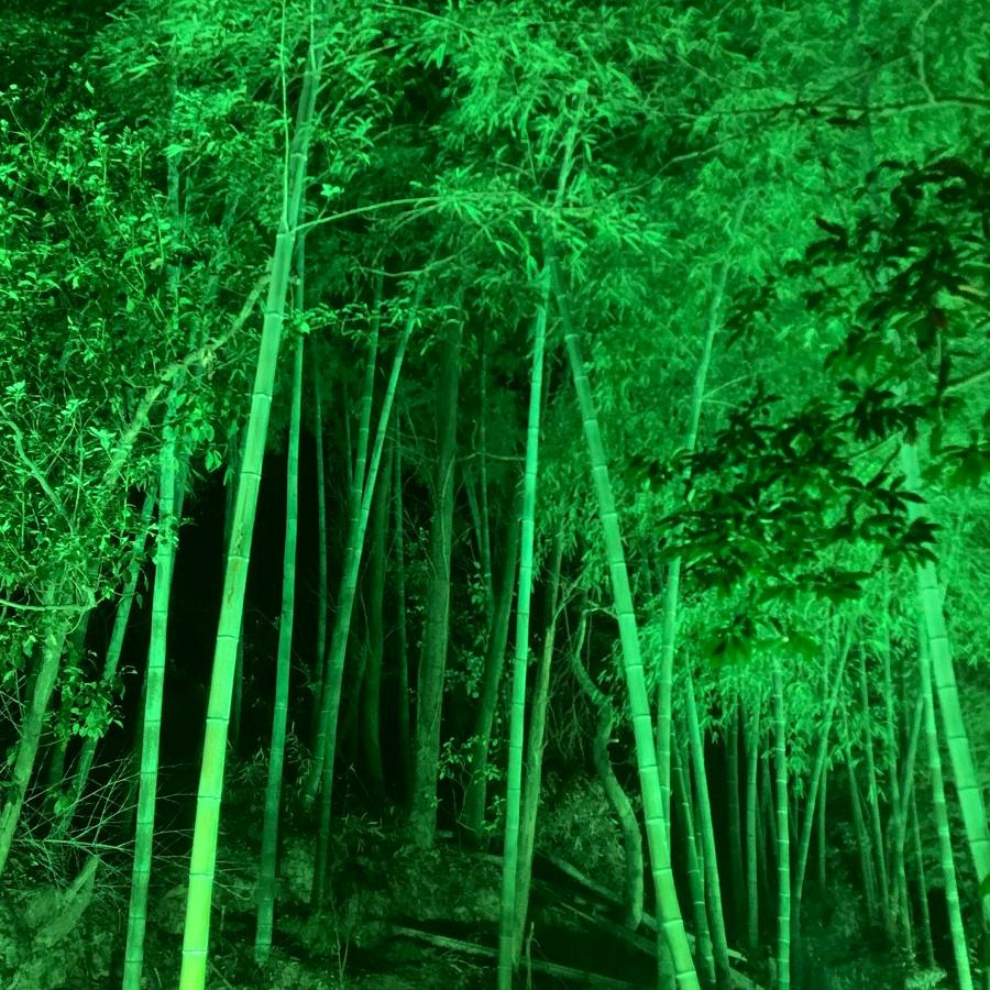 专销江西景德镇琉璃瓦小青瓦