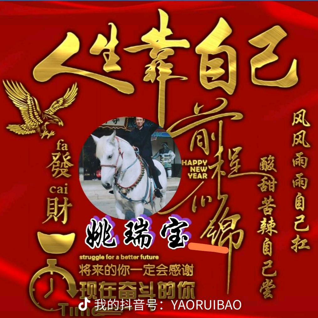 瑞宝废纸打包站