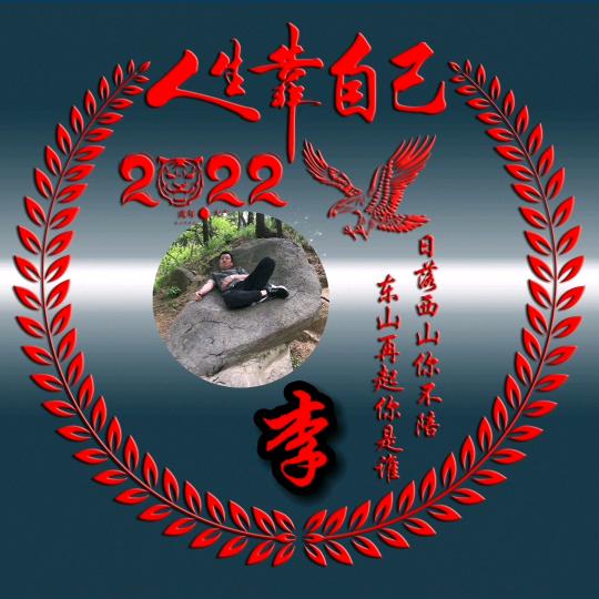 《党生电气》
