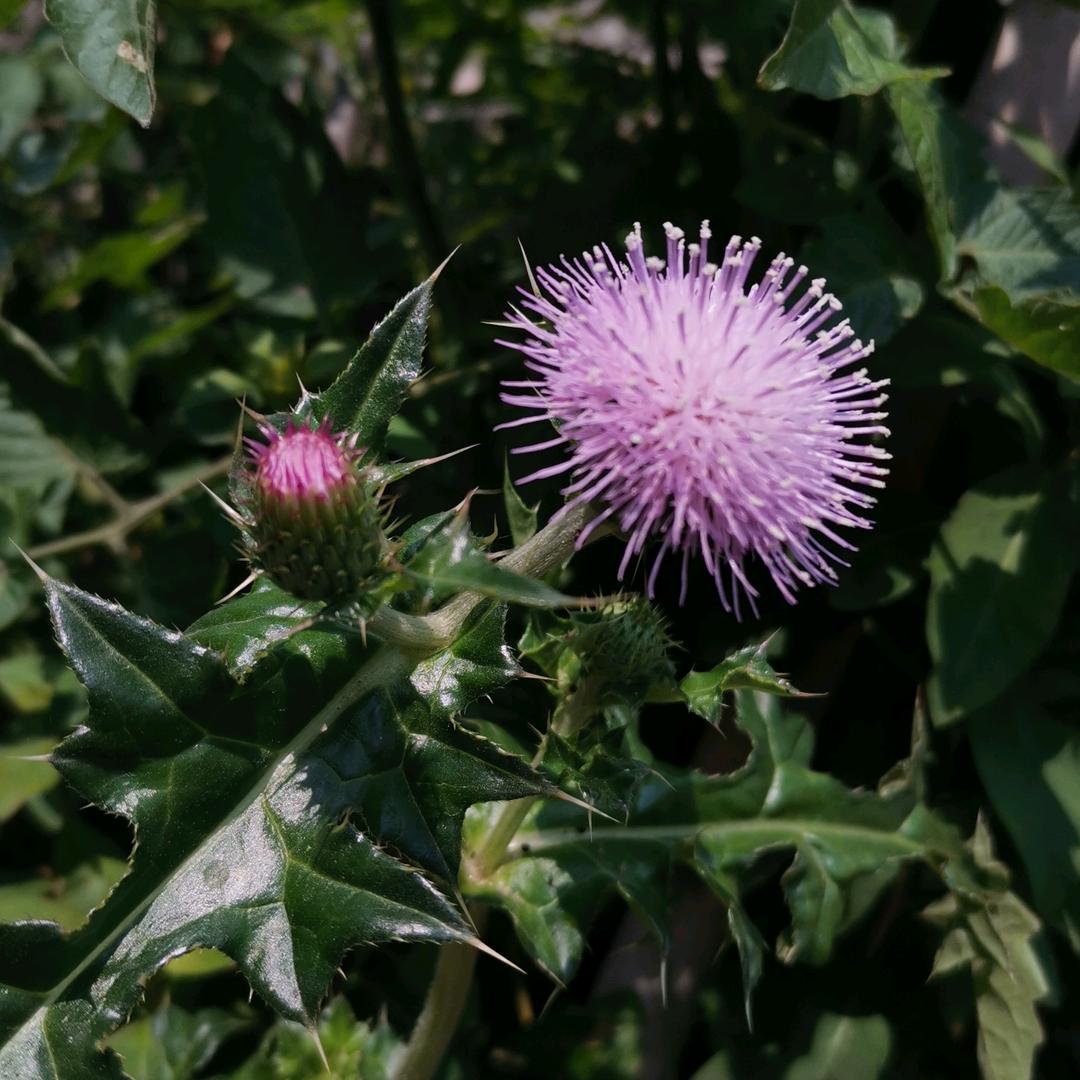六桂饭店饭店（阿萍）