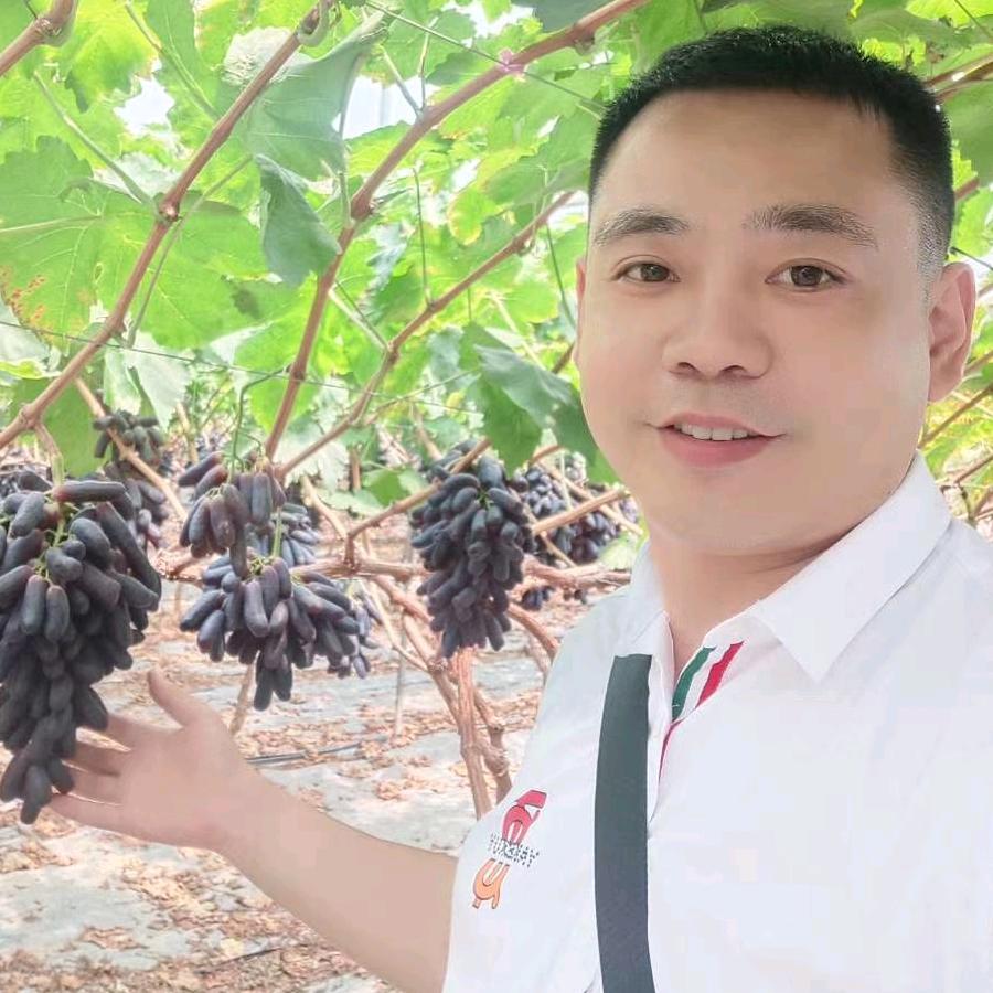 安居区尚辰百货