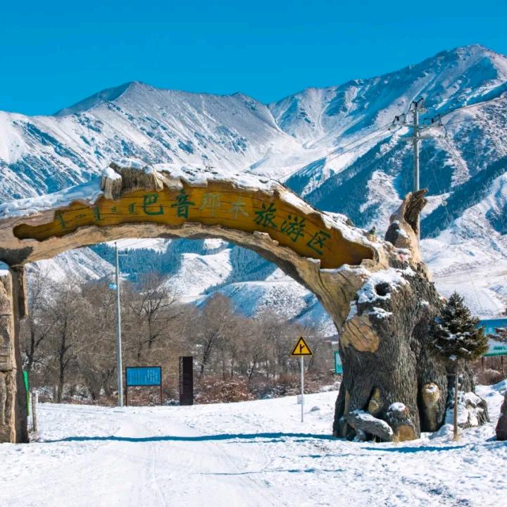 不玩抖音好多年